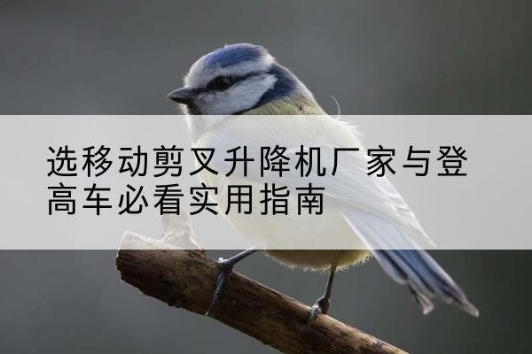 资阳电动升降机厂家-选移动剪叉升降机厂家与登高车必看实用指南