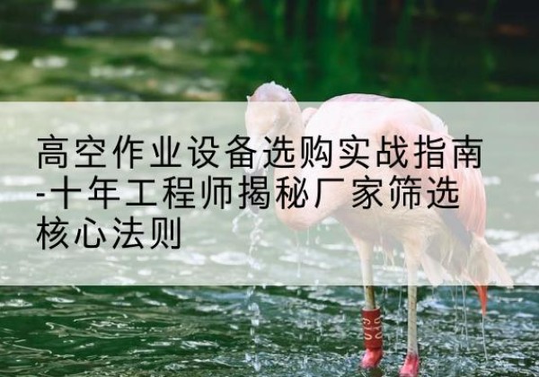 资阳剪叉式升降机厂家-高空作业设备选购实战指南-十年工程师揭秘厂家筛选核心法则